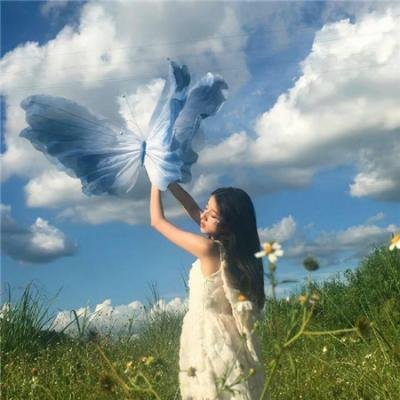 让叶兰在空中飞舞