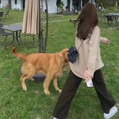 忍者神龟:崛起
